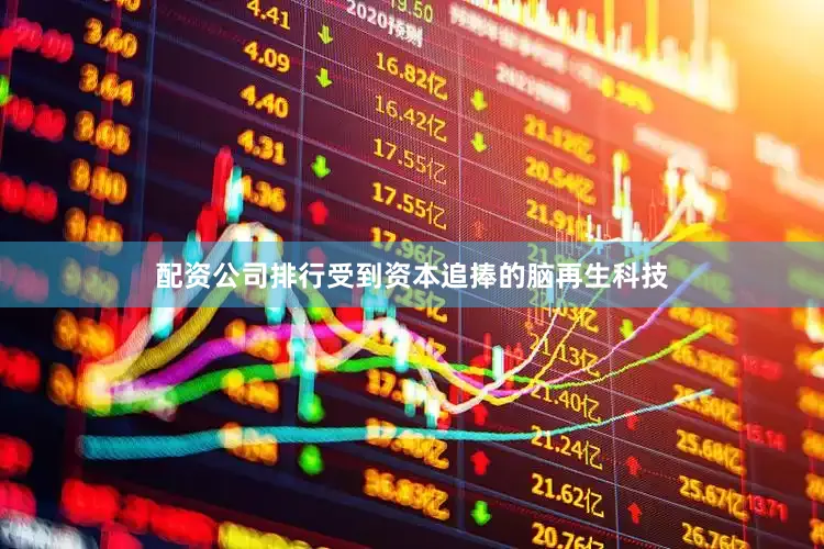 配资公司排行受到资本追捧的脑再生科技