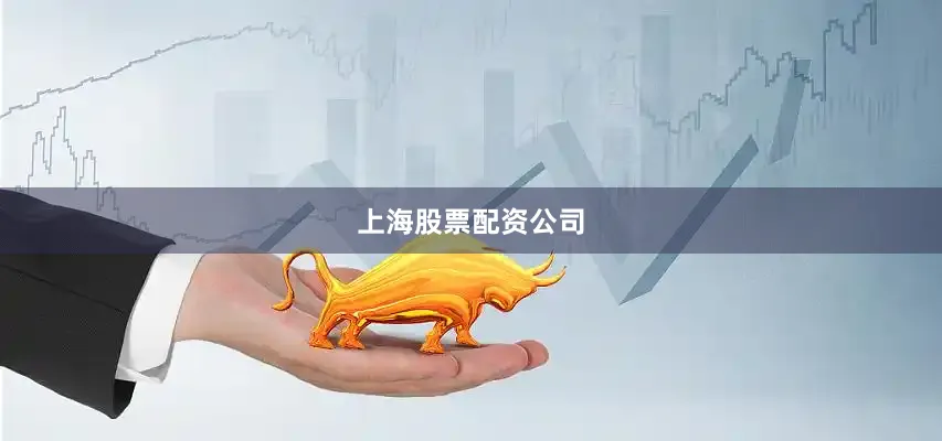上海股票配资公司