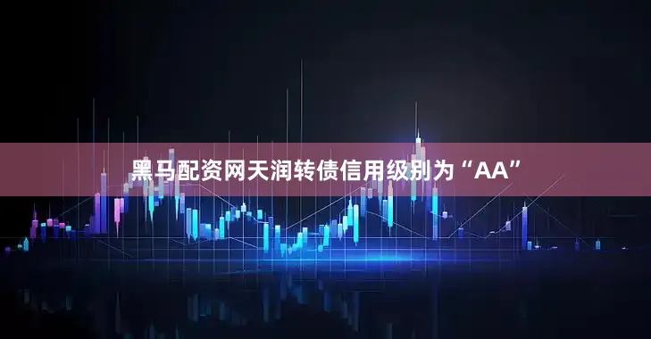 黑马配资网天润转债信用级别为“AA”