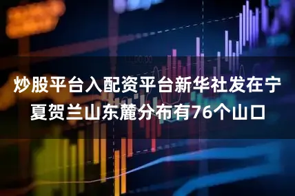 炒股平台入配资平台新华社发在宁夏贺兰山东麓分布有76个山口