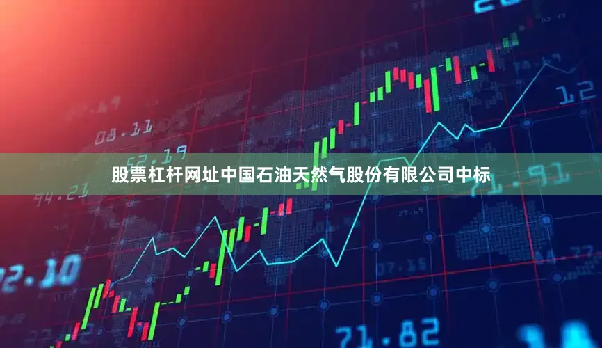 股票杠杆网址中国石油天然气股份有限公司中标
